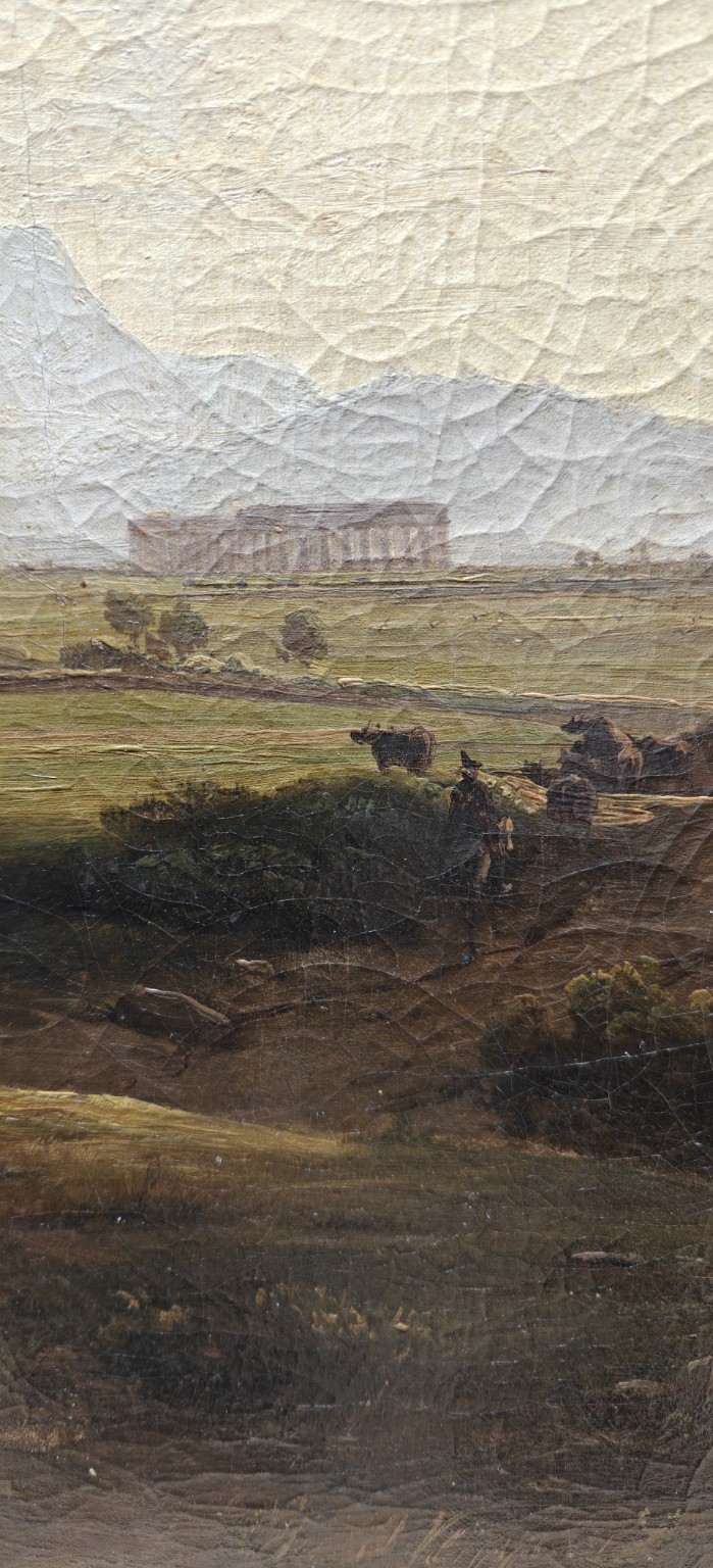 Buffels / Paestum — tempel en vee in midden-/achtergrond