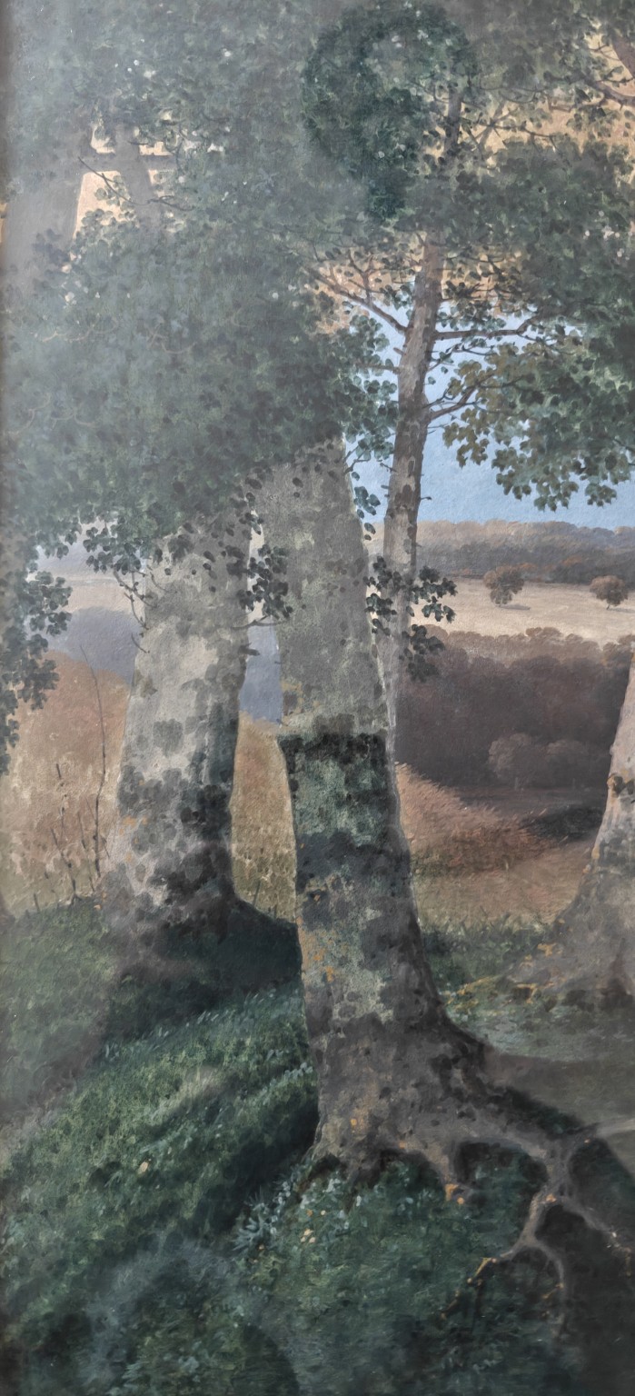 Aanvullend detail van boomstammen, bladerdek en landschap achter de bomen.