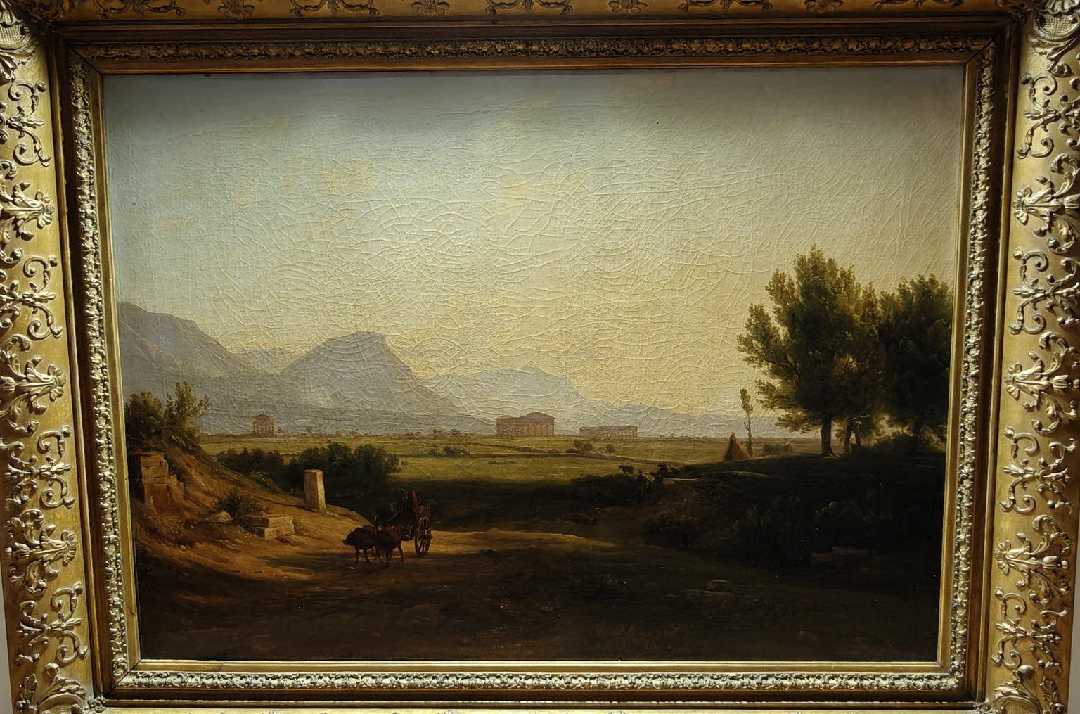 Volledige objectfoto Buffels / Paestum