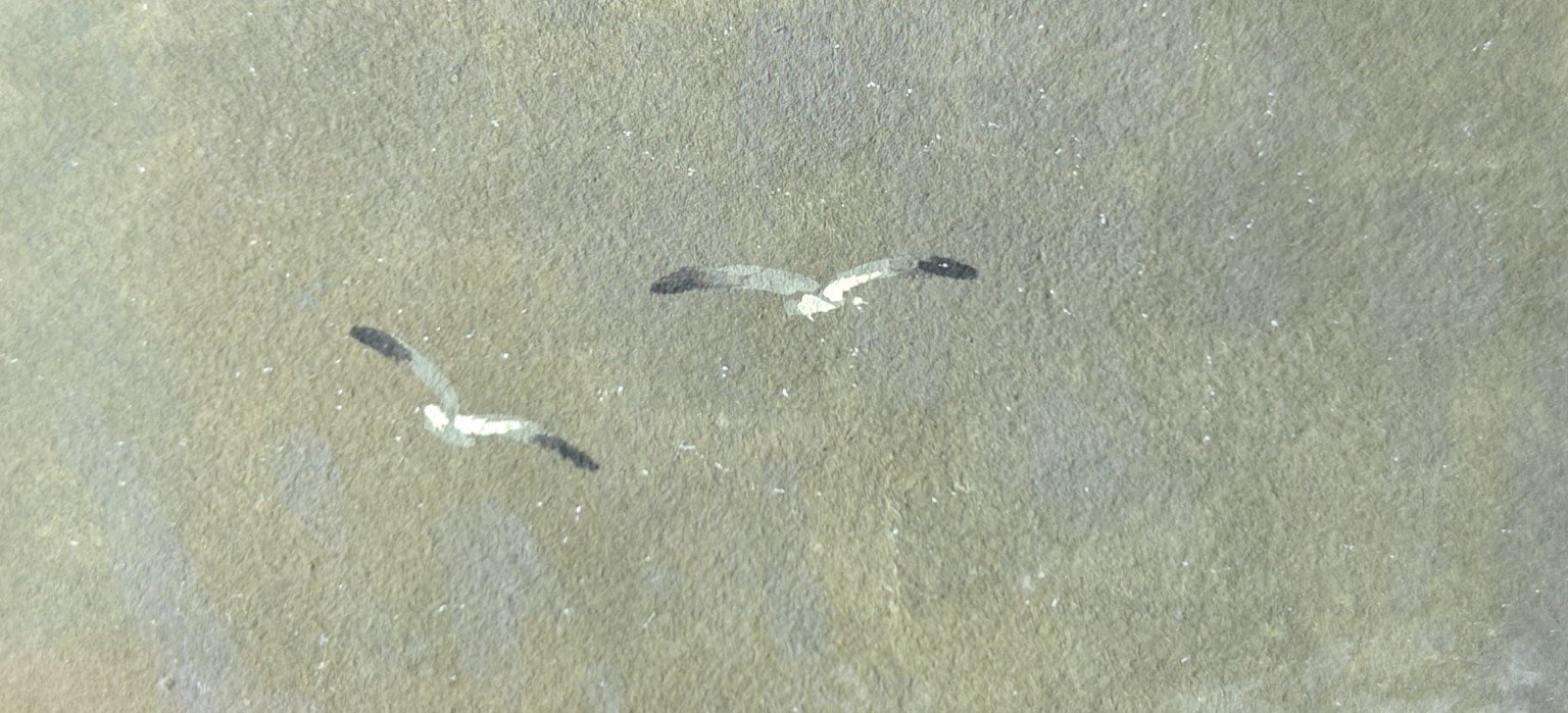 Brug en waterval — 13_detail_vogels