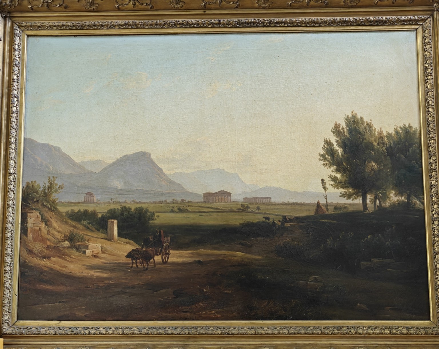 Buffels Paestum